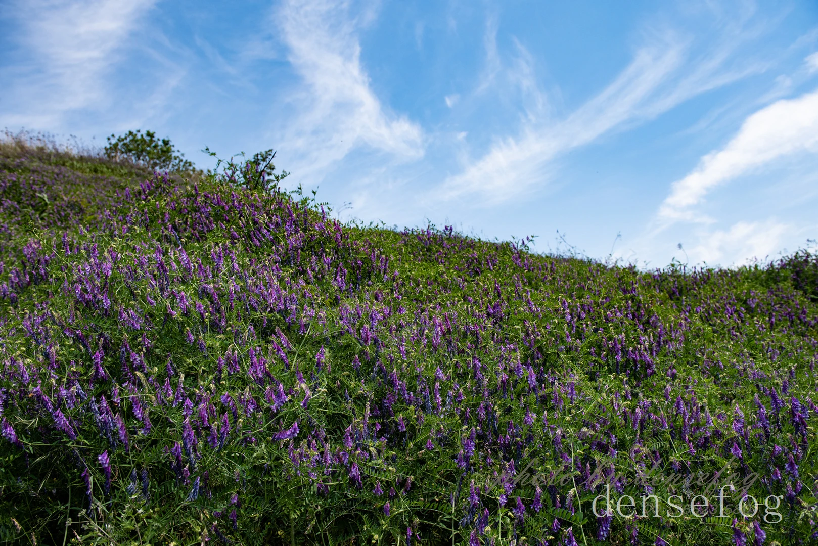 DSC_3322.webp