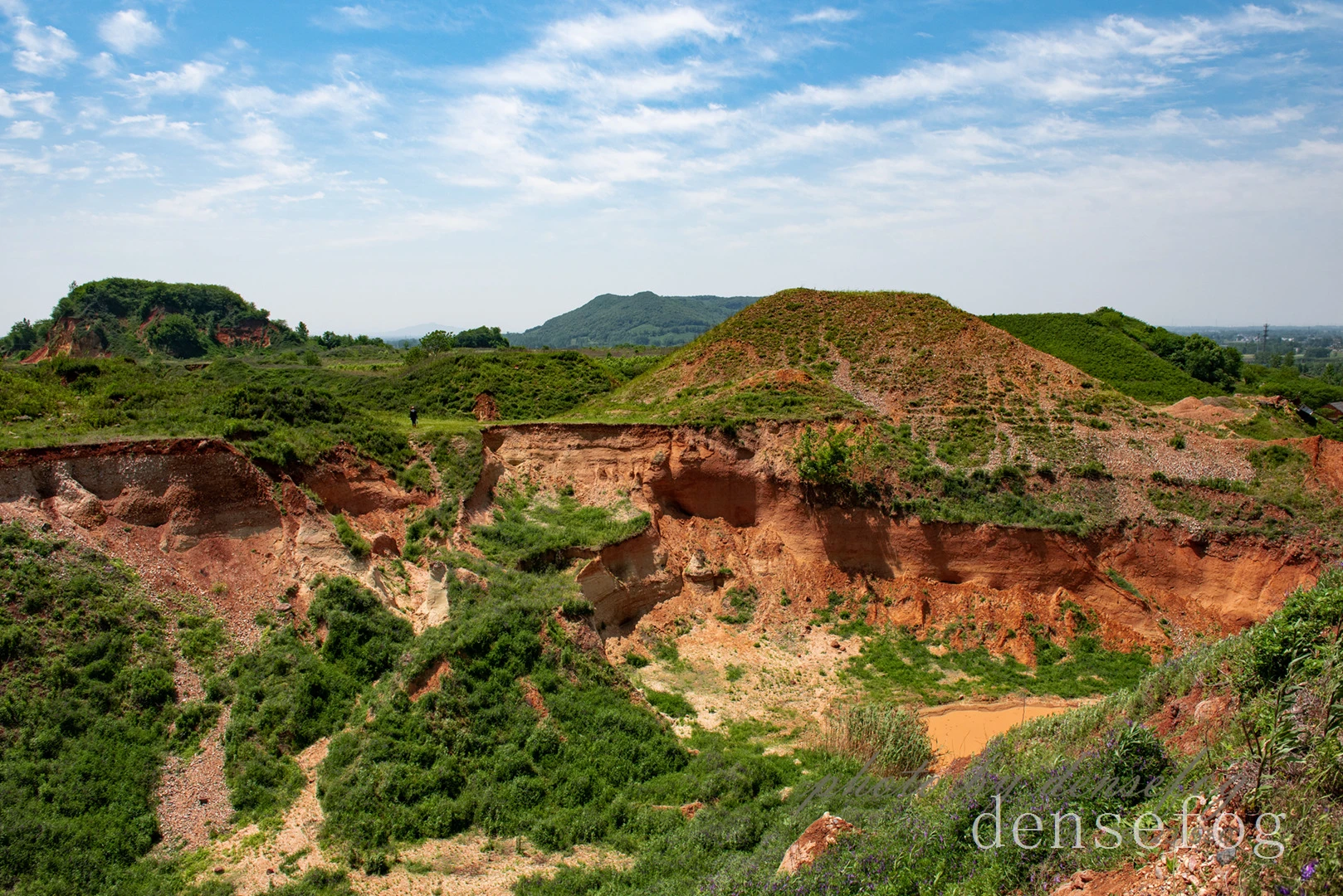 DSC_3330.webp