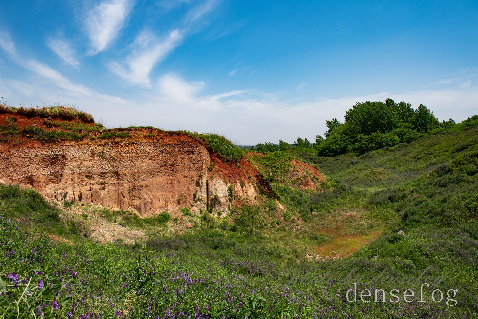 DSC_3336.webp