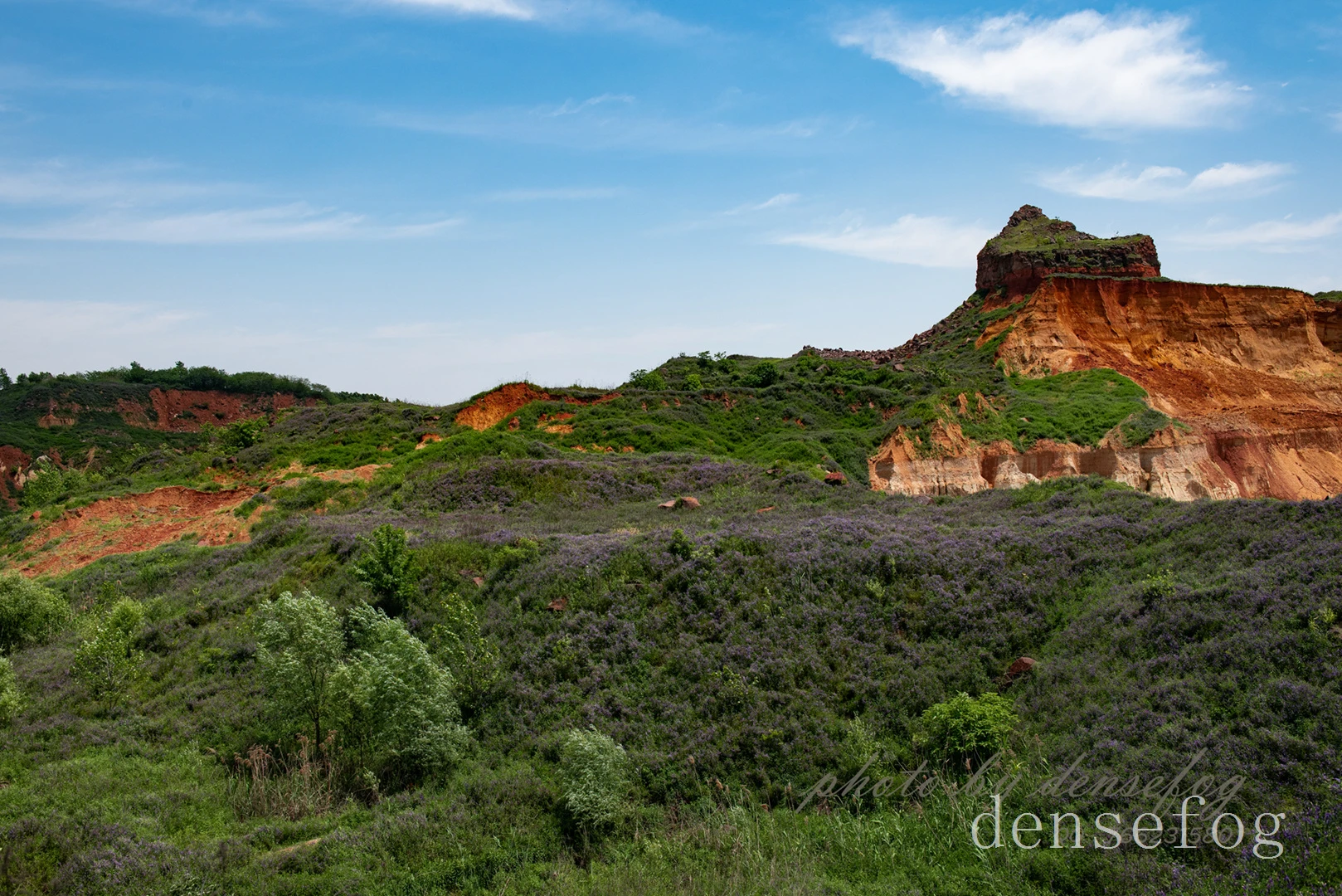 DSC_3346.webp