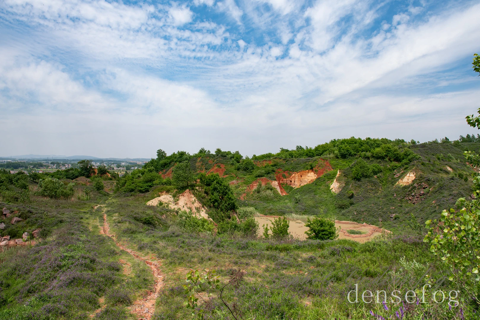 DSC_3351.webp